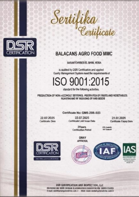 Сертификат 1