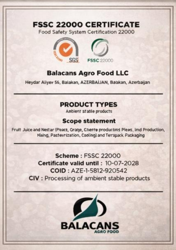 Сертификат 2